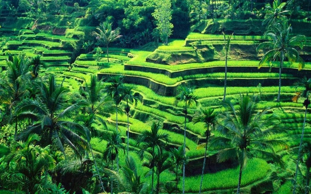Ubud River Campuhan Villa Esterno foto